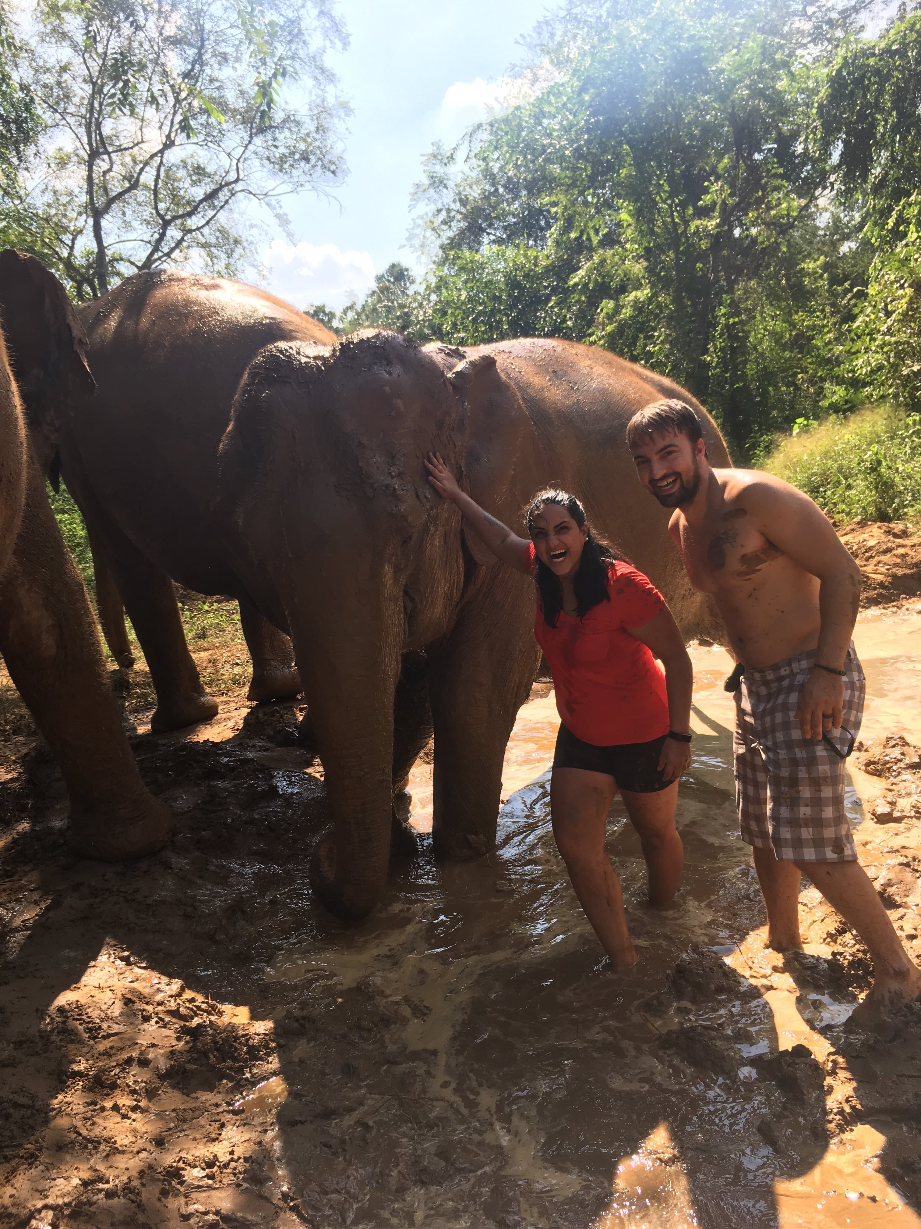 Elephant mud bath, Thailand