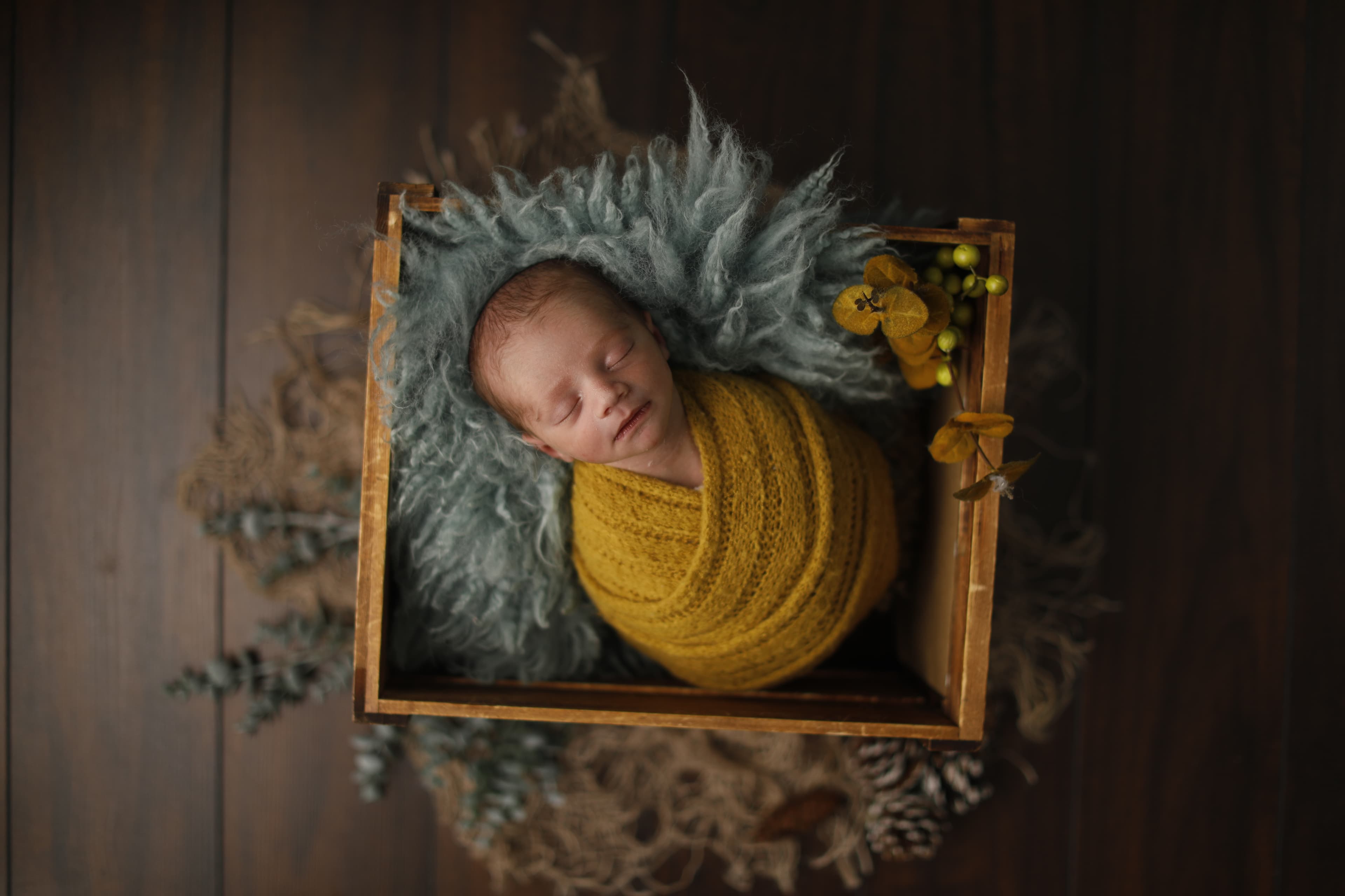 Baby Nico