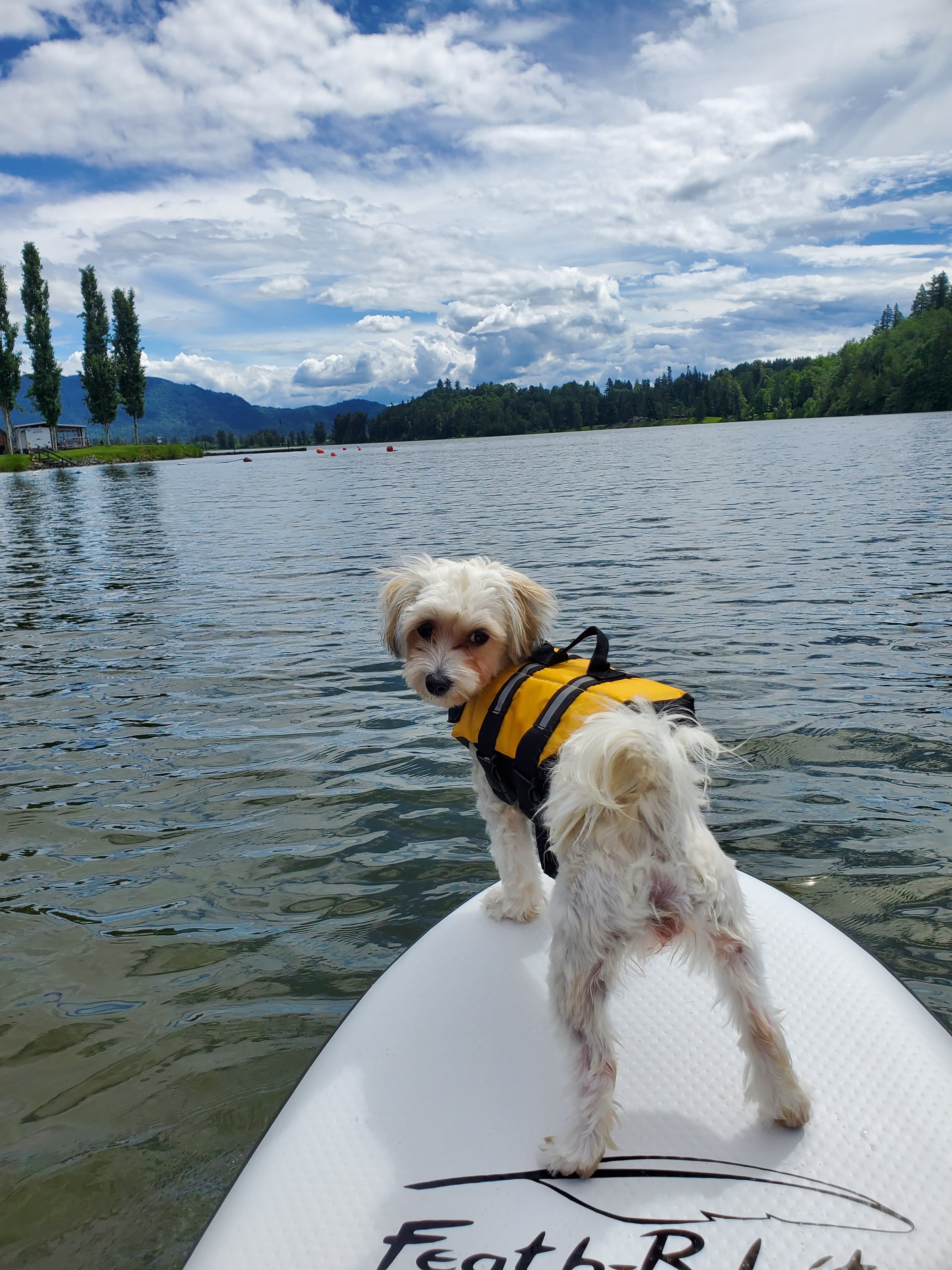 Olive paddleboarding