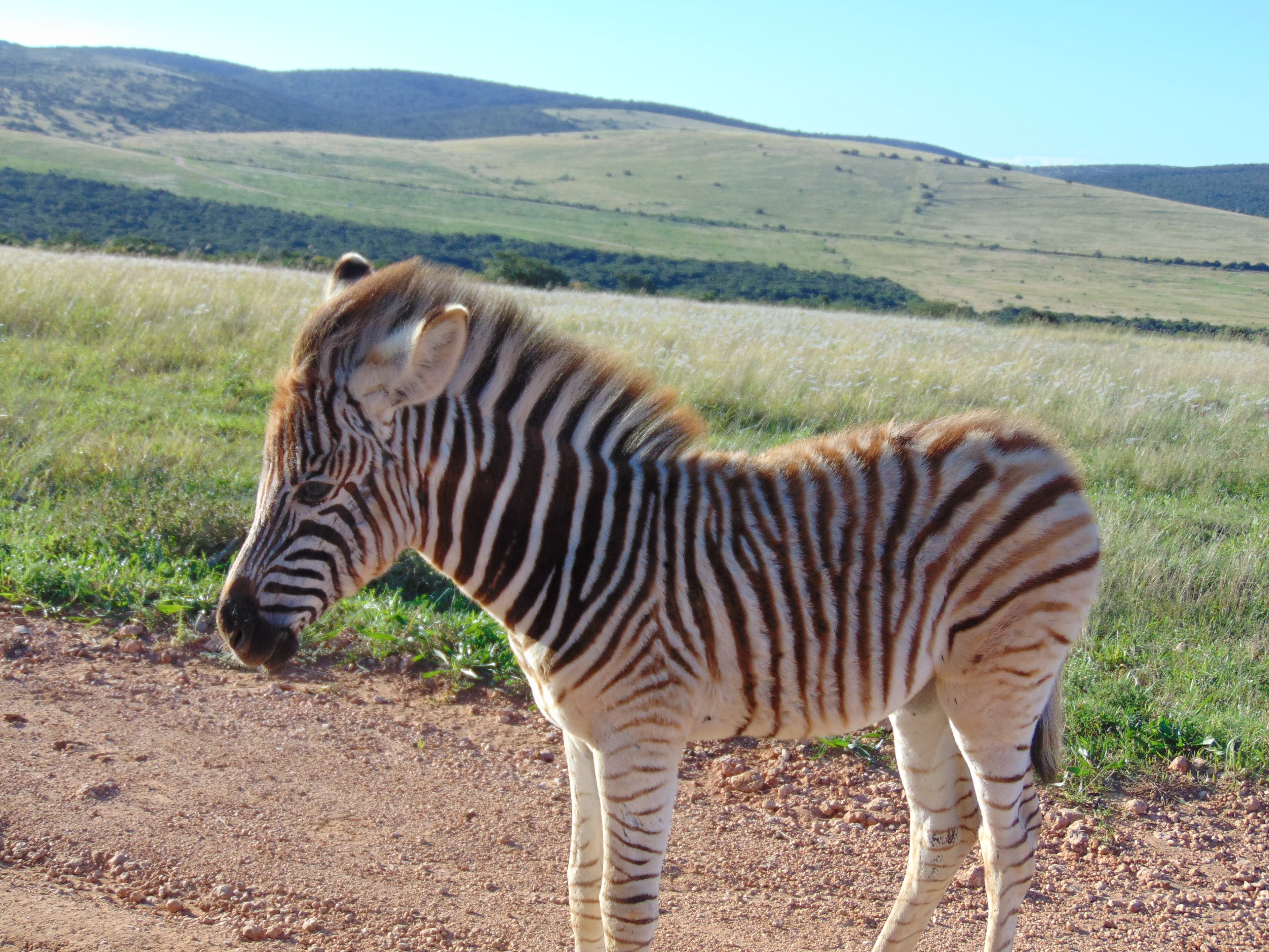 South Africa