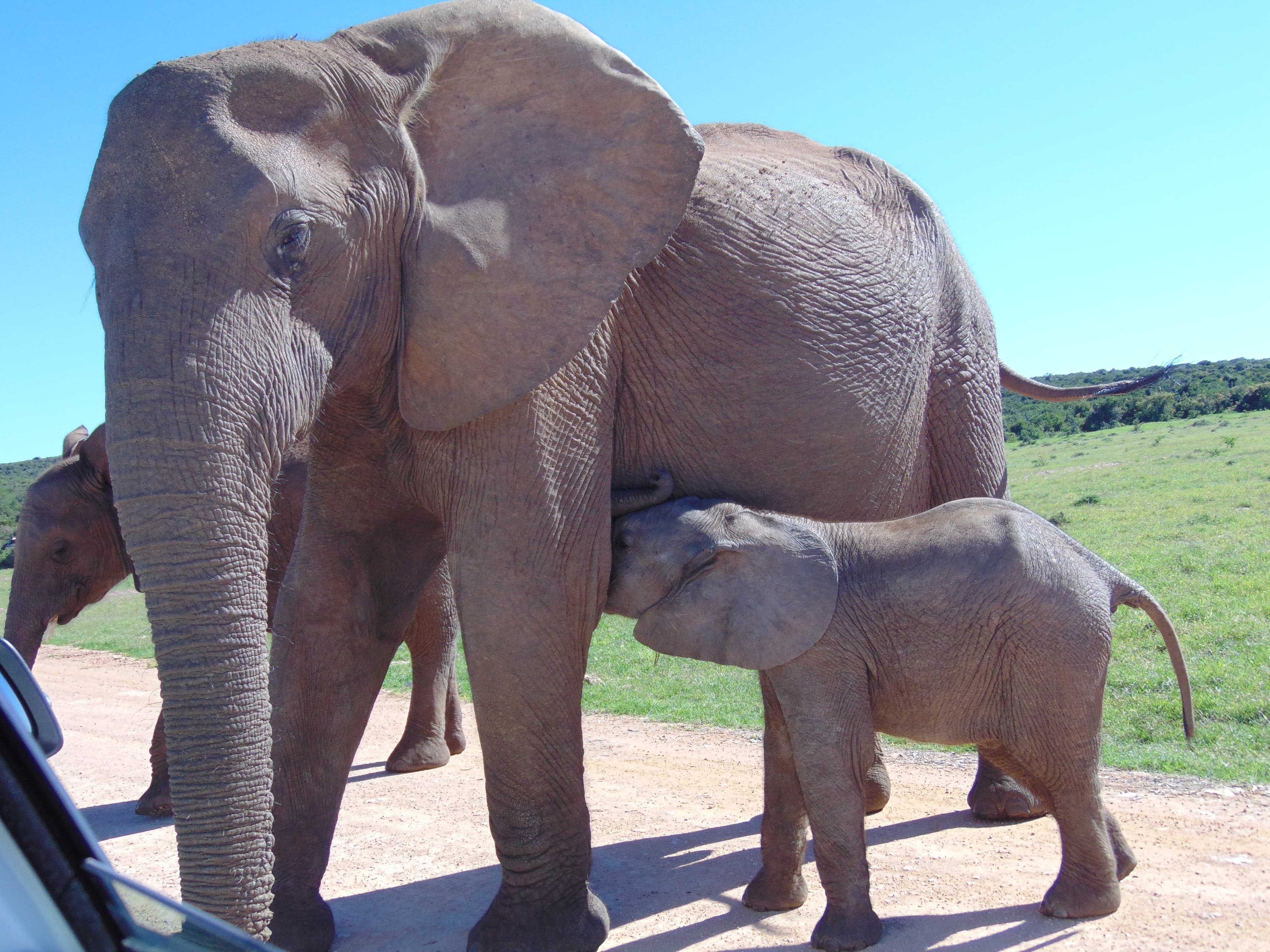 South Africa