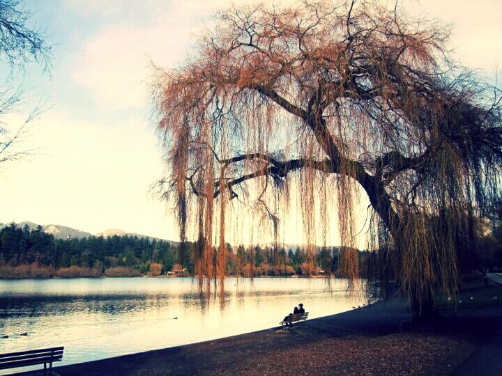Stanley Park, Vancouver