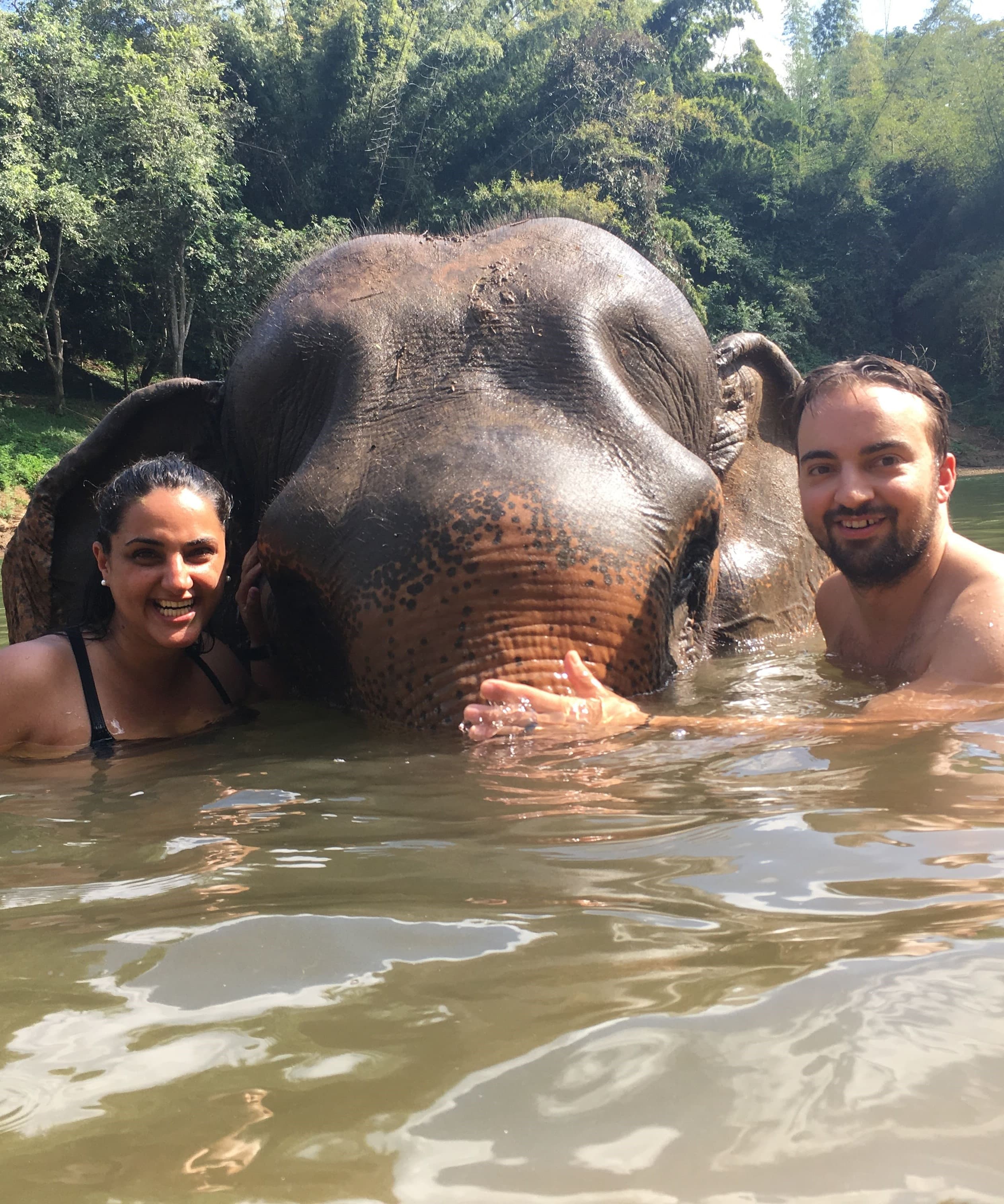Swimming with elephants, Thailand