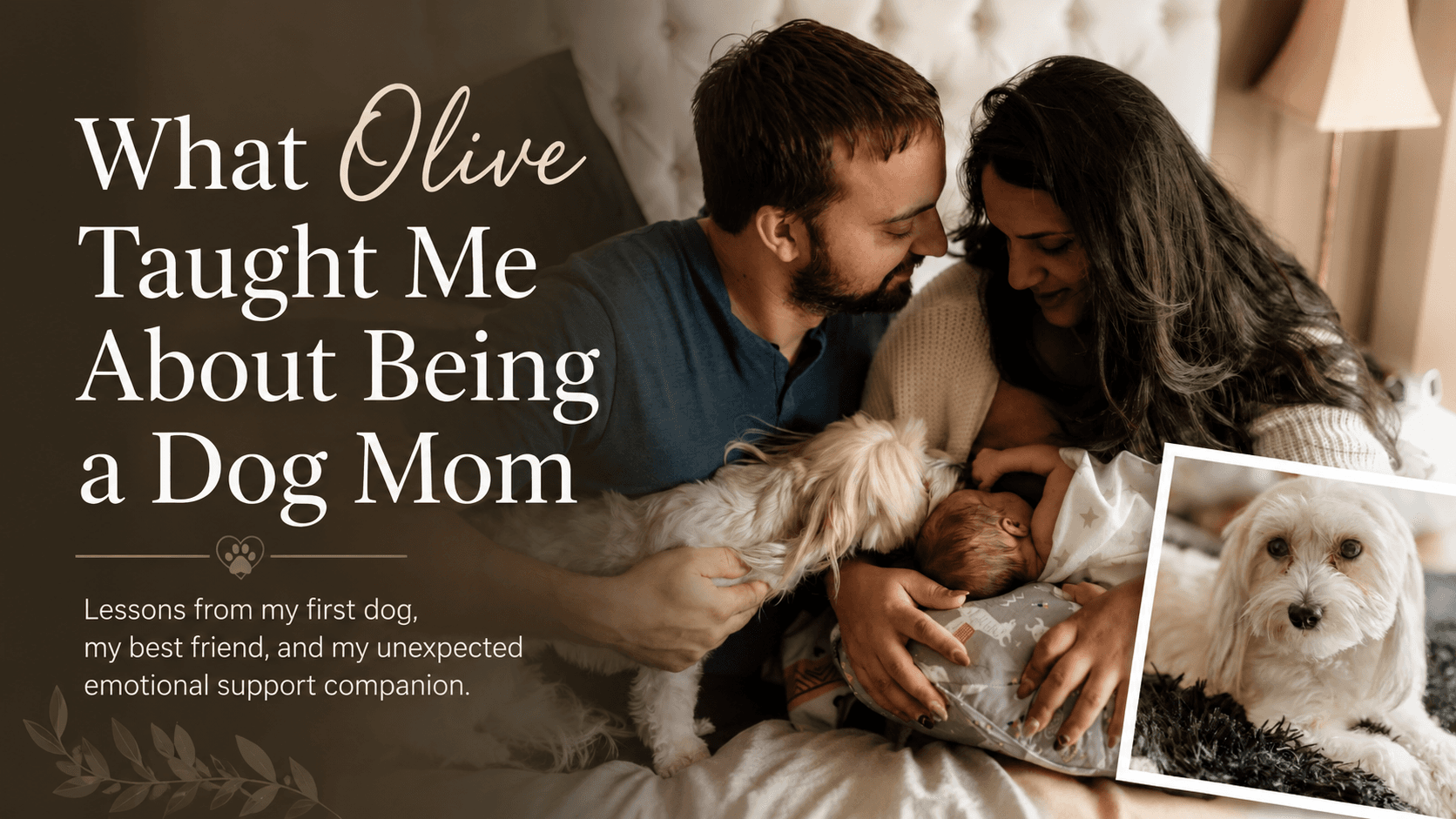 What Olive Has Taught Me About Being a Dog Mom