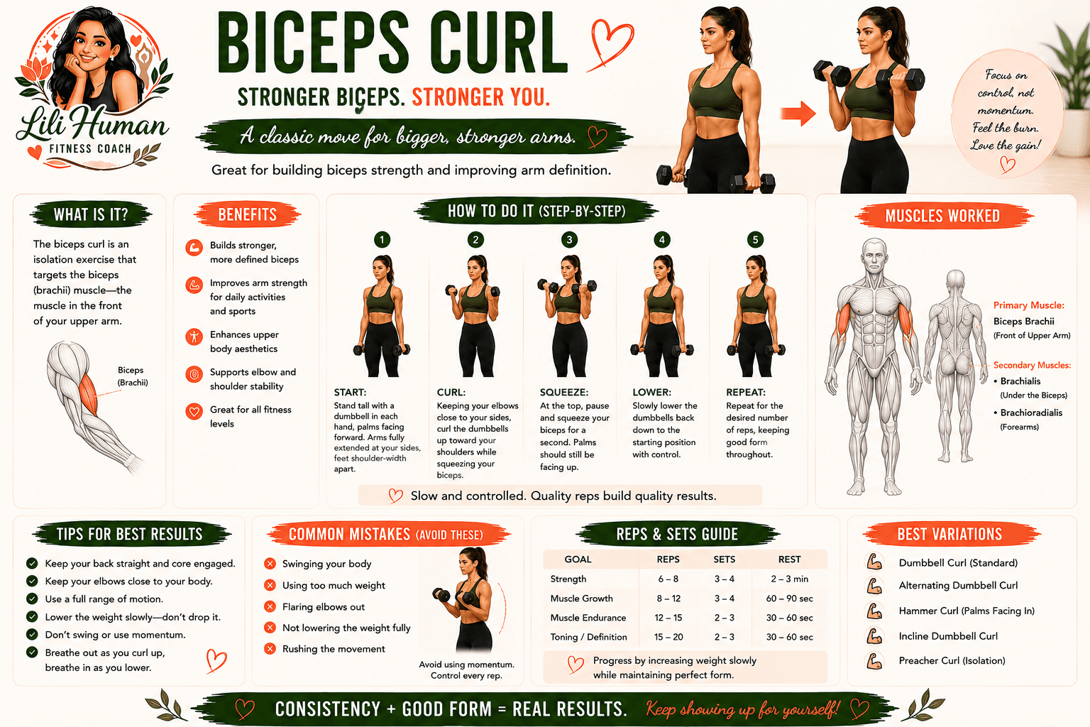 Biceps Curl guide