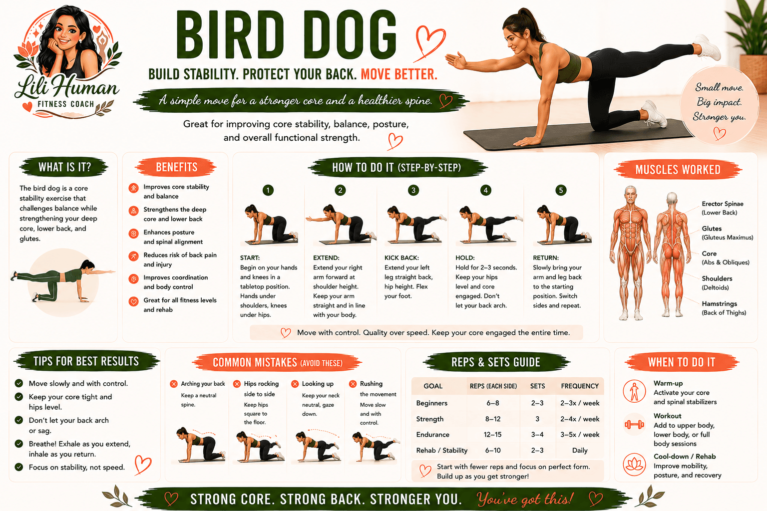 Bird Dog guide