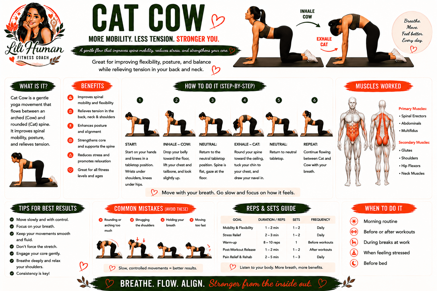 Cat Cow guide