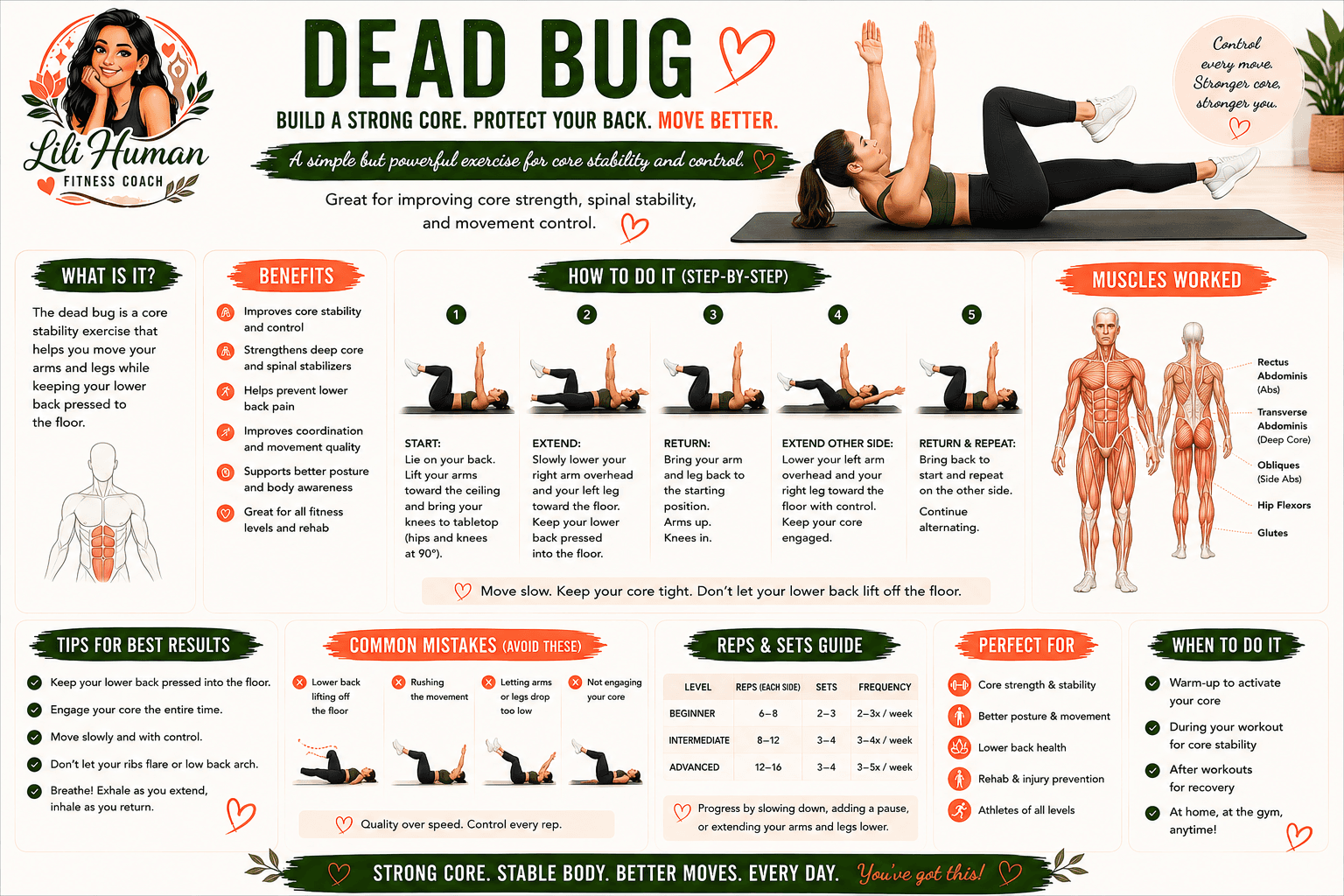 Dead Bug guide