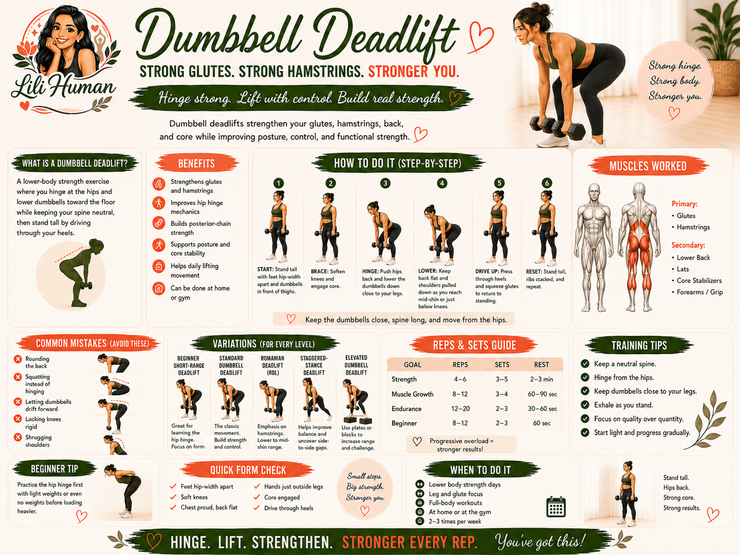 Dumbbell Deadlift guide